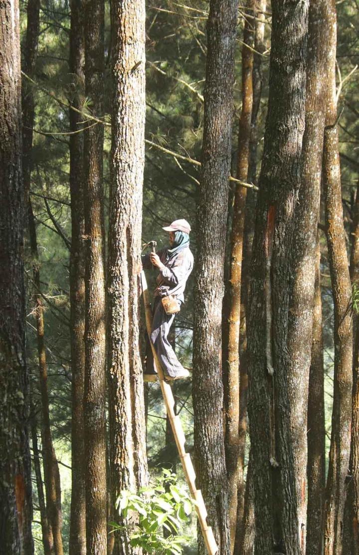 Travaux acrobatiques Caluire-et-Cuire