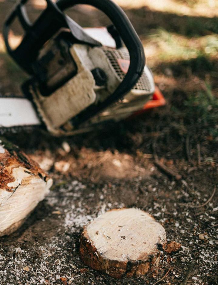 Rabotage de souches Caluire-et-Cuire