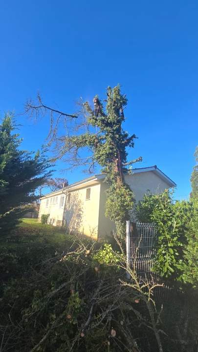 Resized IMG 20251216 WA0000