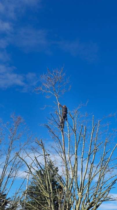 Resized IMG 20260204 WA0004