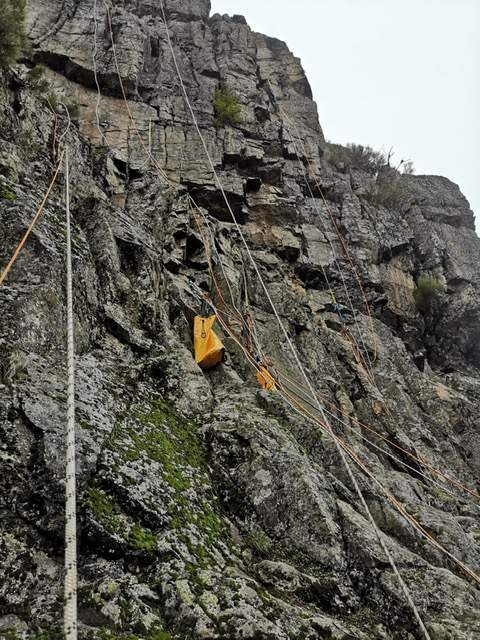 d45dbdc4 a36b 4496 880d 933cb7547d45